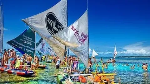 奥委会主席谈：揭秘选举机制与岗位职责