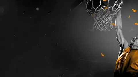 约基奇三双助力灰熊止奇才连胜，河村三分闪耀击败奇才