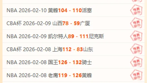 探秘巴甲赛场：阵容解码，揭秘无形较量之谜