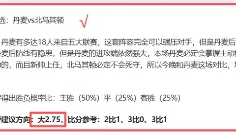 “纽卡斯尔追逐加蒂，对决阿森纳争购弗拉霍维奇”